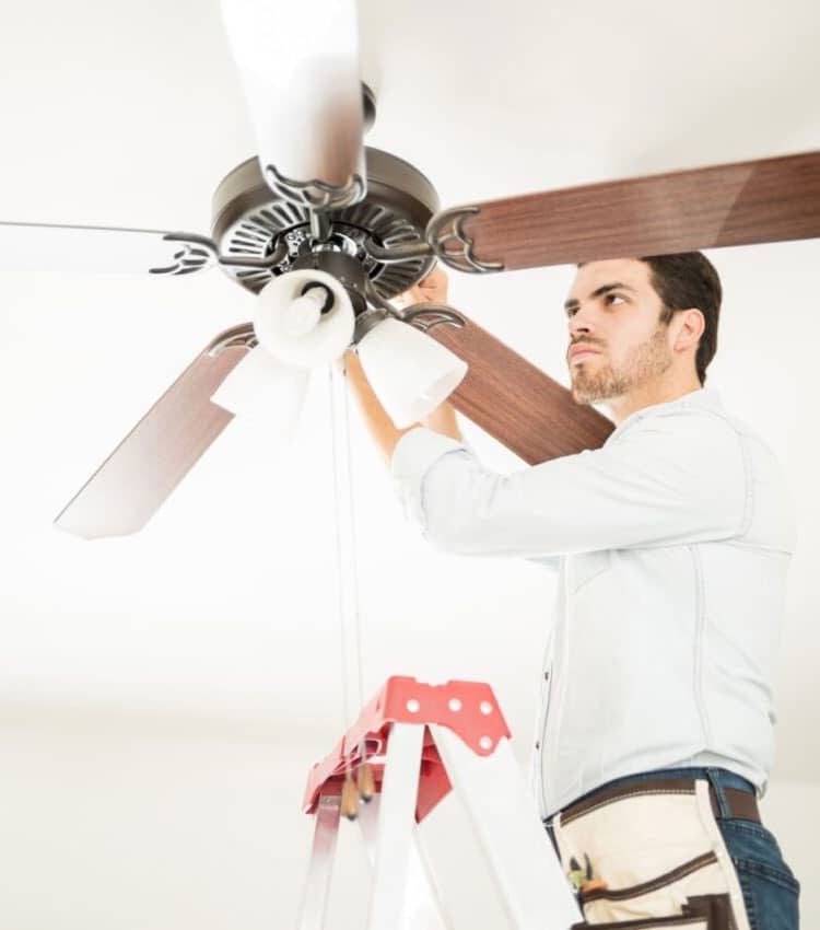 Handyman Fixing Ceiling Fan Issue — Expert Trade Services in Burleigh Heads, QLD